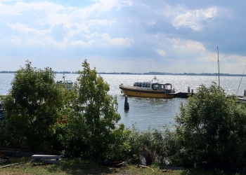 Jetty 135